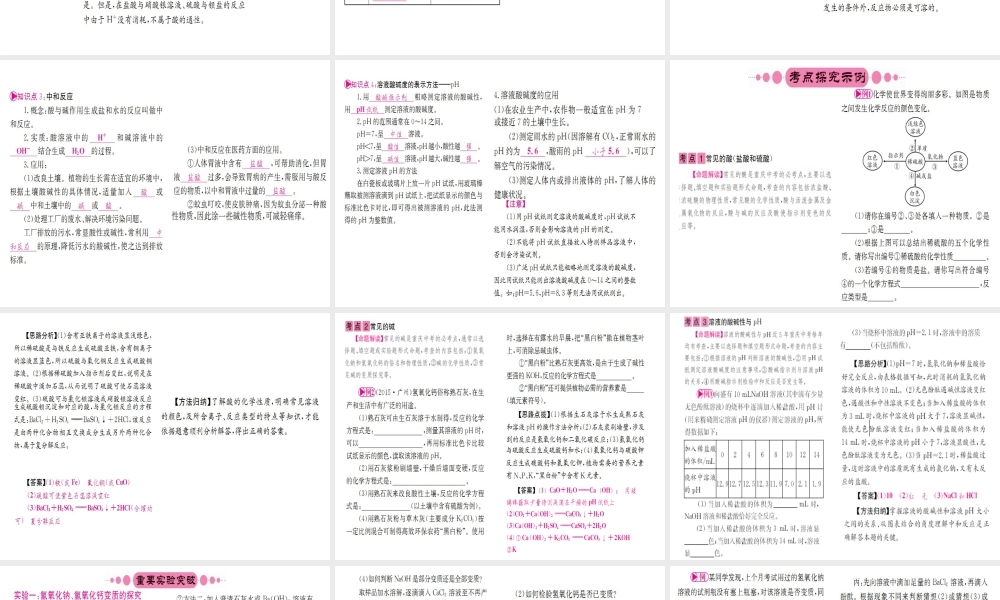 （重庆专版）中考化学 第一篇 考点系统复习 第十单元 酸和碱课件-人教版初中九年级全册化学课件