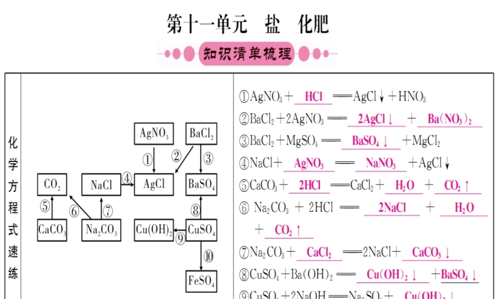 （重庆专版）中考化学 第一篇 考点系统复习 第十一单元 盐 化肥课件-人教版初中九年级全册化学课件