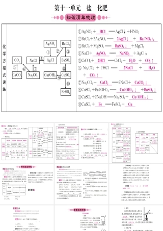 （重庆专版）中考化学 第一篇 考点系统复习 第十一单元 盐 化肥课件-人教版初中九年级全册化学课件
