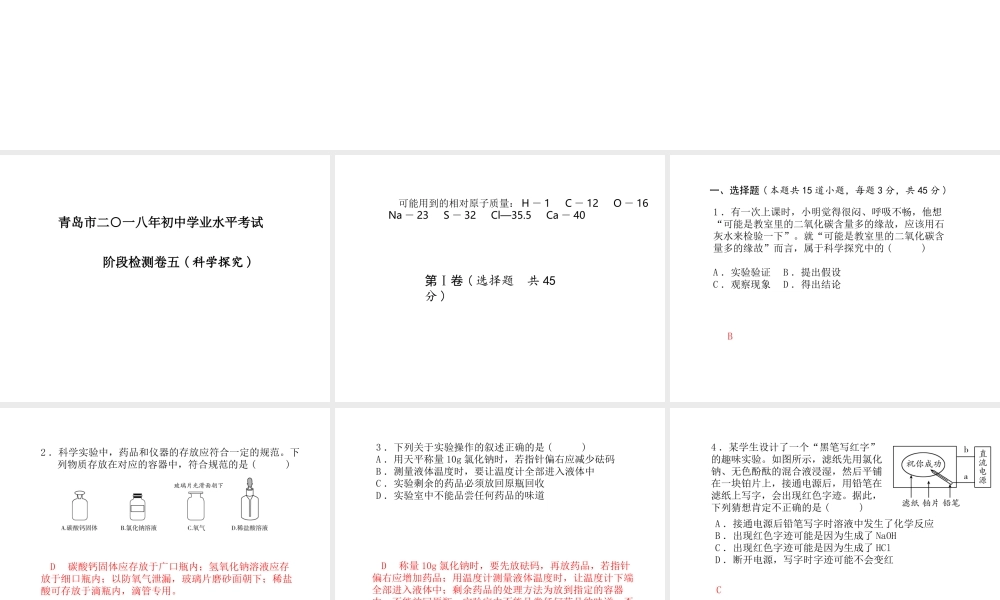 （青岛专版）中考化学总复习 第三部分 模拟检测 冲刺中考 阶段检测卷（五）课件 鲁教版-鲁教版初中九年级全册化学课件