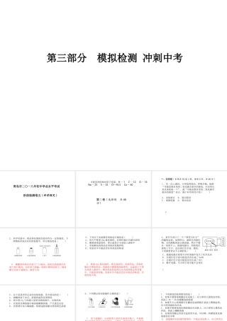 （青岛专版）中考化学总复习 第三部分 模拟检测 冲刺中考 阶段检测卷（五）课件 鲁教版-鲁教版初中九年级全册化学课件