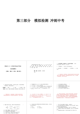 （青岛专版）中考化学总复习 第三部分 模拟检测 冲刺中考 综合检测卷（二）课件 鲁教版-鲁教版初中九年级全册化学课件