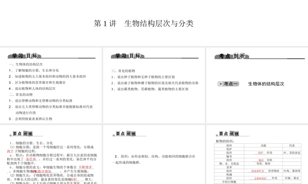 （金华地区）中考科学总复习 满分策略 第一部分 生命科学 第1讲 生物结构层次与分类课件-人教版初中九年级全册自然科学课件