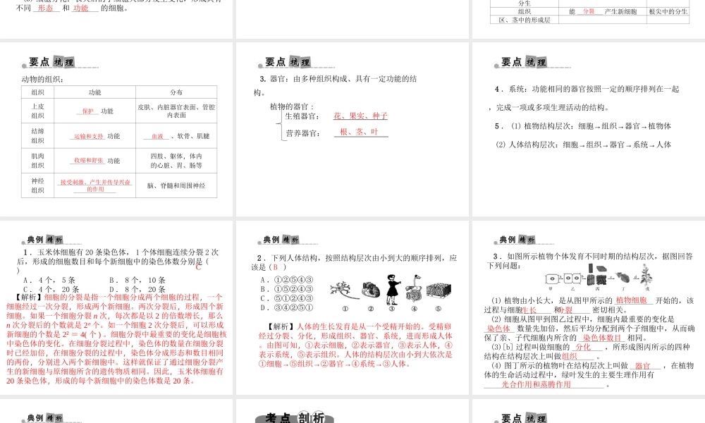 （金华地区）中考科学总复习 满分策略 第一部分 生命科学 第1讲 生物结构层次与分类课件-人教版初中九年级全册自然科学课件