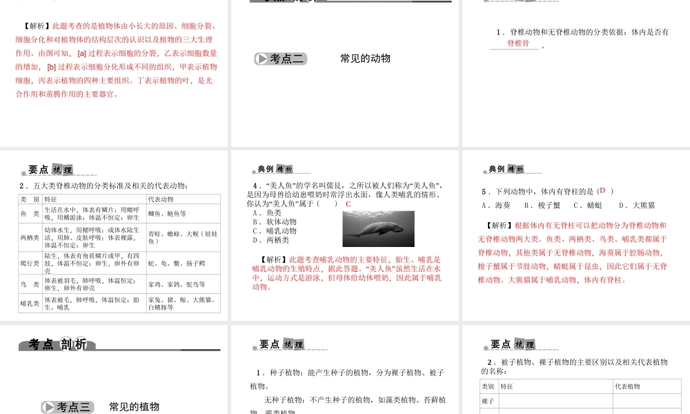 （金华地区）中考科学总复习 满分策略 第一部分 生命科学 第1讲 生物结构层次与分类课件-人教版初中九年级全册自然科学课件