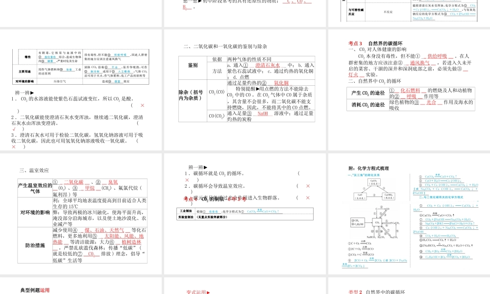（青岛专版）中考化学总复习 第一部分 系统复习 成绩基石 主题二 碳和碳的化合物课件 鲁教版-鲁教版初中九年级全册化学课件