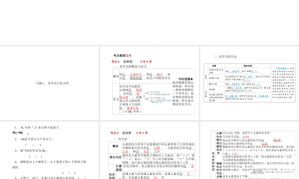 （青岛专版）中考化学总复习 第一部分 系统复习 成绩基石 主题九 化学式与化合价课件 鲁教版-鲁教版初中九年级全册化学课件