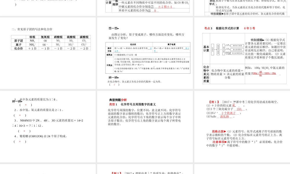 （青岛专版）中考化学总复习 第一部分 系统复习 成绩基石 主题九 化学式与化合价课件 鲁教版-鲁教版初中九年级全册化学课件