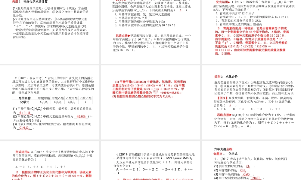 （青岛专版）中考化学总复习 第一部分 系统复习 成绩基石 主题九 化学式与化合价课件 鲁教版-鲁教版初中九年级全册化学课件