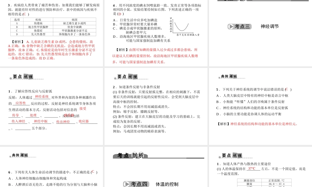 （金华地区）中考科学总复习 满分策略 第一部分 生命科学 第4讲 生命活动的调节课件-人教版初中九年级全册自然科学课件