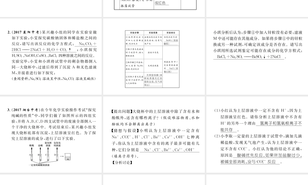 （青海专版）中考化学复习 第2编 重点题型突破篇 专题5 实验探究题（精练）课件-人教版初中九年级全册化学课件