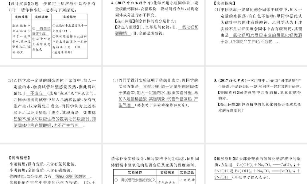 （青海专版）中考化学复习 第2编 重点题型突破篇 专题5 实验探究题（精练）课件-人教版初中九年级全册化学课件