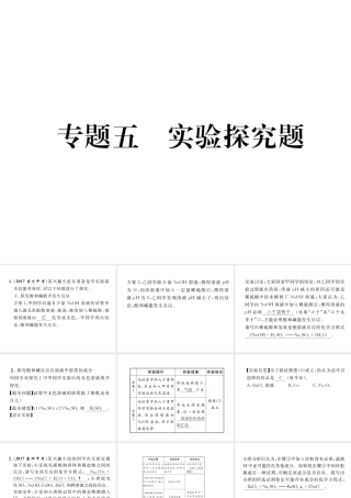 （青海专版）中考化学复习 第2编 重点题型突破篇 专题5 实验探究题（精练）课件-人教版初中九年级全册化学课件