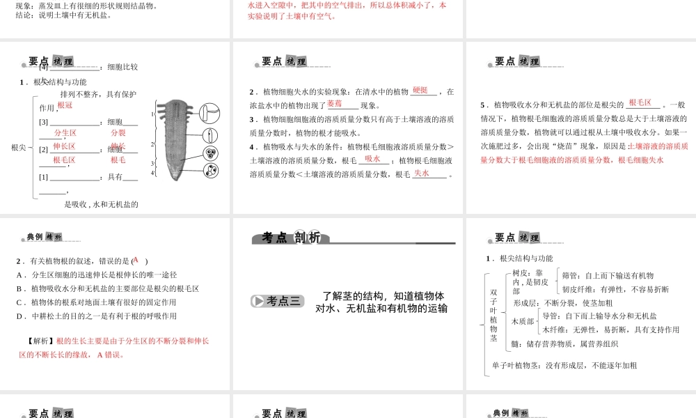 （金华地区）中考科学总复习 满分策略 第一部分 生命科学 第5讲 绿色植物的新陈代谢课件-人教版初中九年级全册自然科学课件