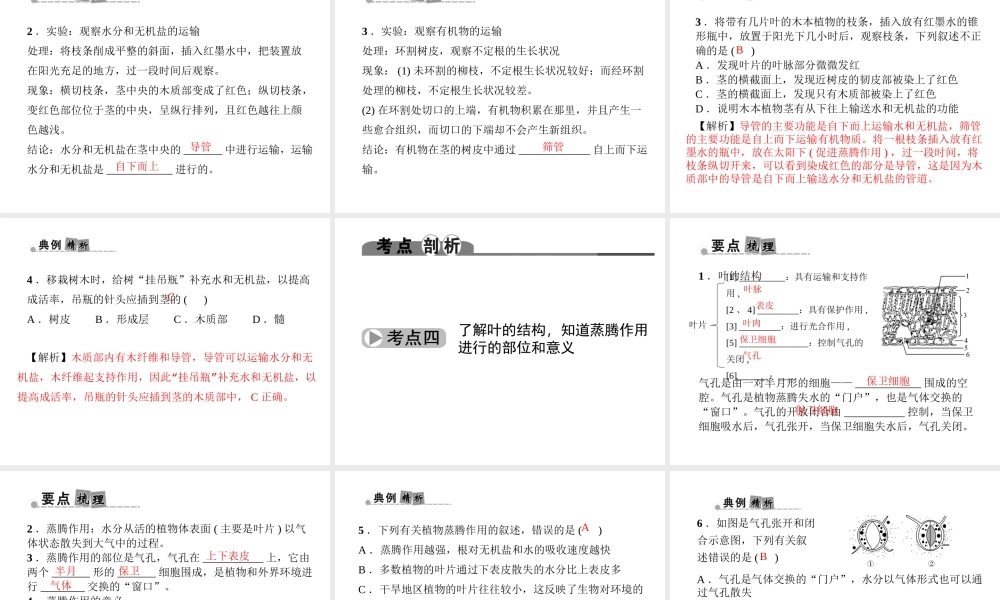 （金华地区）中考科学总复习 满分策略 第一部分 生命科学 第5讲 绿色植物的新陈代谢课件-人教版初中九年级全册自然科学课件