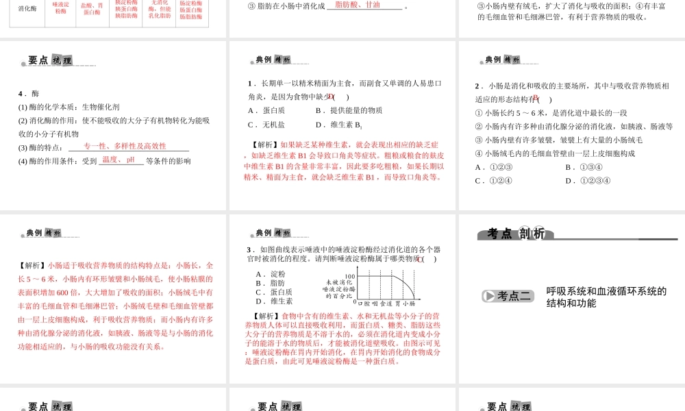 （金华地区）中考科学总复习 满分策略 第一部分 生命科学 第6讲 人体代谢与平衡课件-人教版初中九年级全册自然科学课件