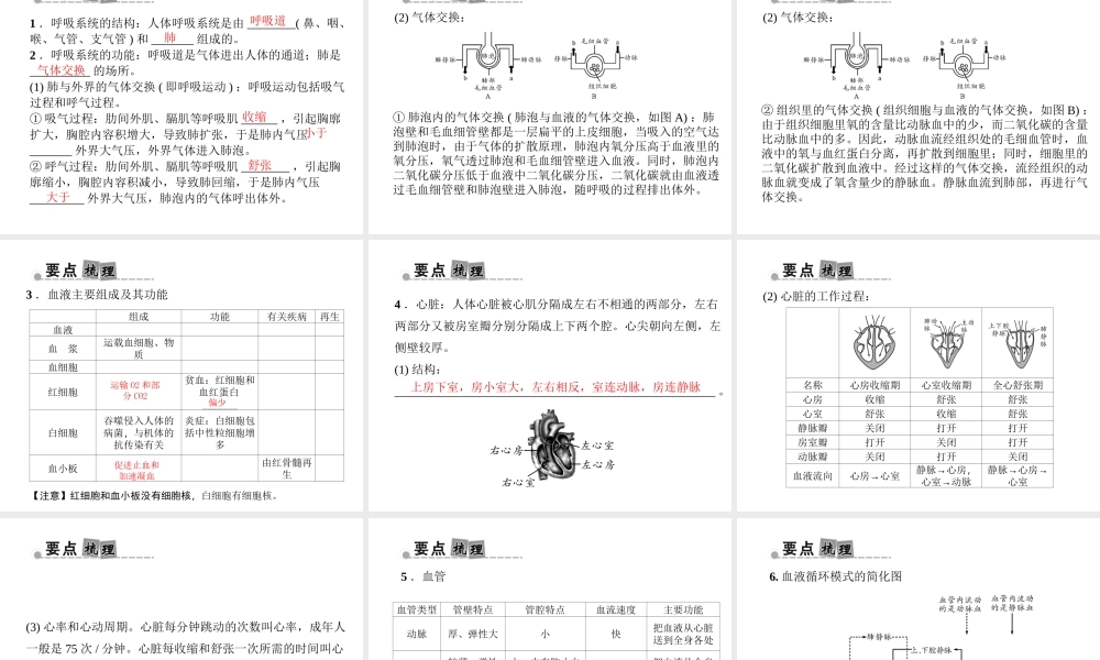 （金华地区）中考科学总复习 满分策略 第一部分 生命科学 第6讲 人体代谢与平衡课件-人教版初中九年级全册自然科学课件