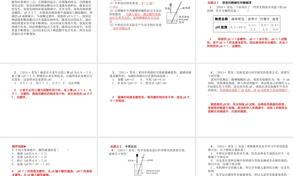 （青岛专版）中考化学总复习 第一部分 系统复习 成绩基石 主题六 常见的酸和碱 第2课时 溶液的酸碱性与中和反应课件 鲁教版-鲁教版初中九年级全册化学课件