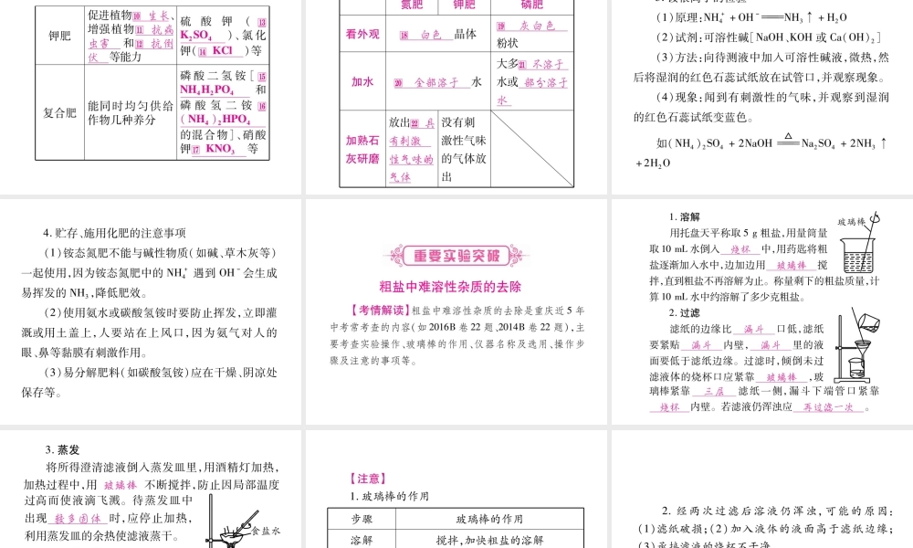 （重庆专版）中考化学总复习 第1部分 教材系统复习 第11单元 盐 化肥课件-人教版初中九年级全册化学课件