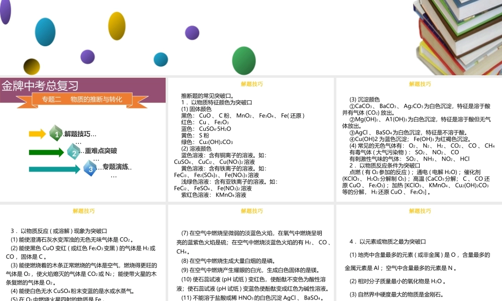 （金牌中考）广东省中考化学总复习 第六部分 专题复习 专题二 物质的推断与转化课件-人教版初中九年级全册化学课件