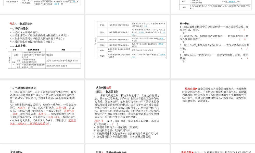 （青岛专版）中考化学总复习 第一部分 系统复习 成绩基石 主题十七 物质的检验、鉴别和除杂课件 鲁教版-鲁教版初中九年级全册化学课件