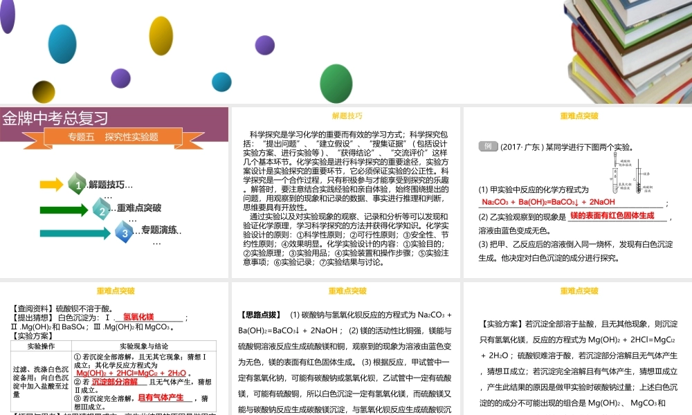 （金牌中考）广东省中考化学总复习 第六部分 专题复习 专题五 探究性实验题课件-人教版初中九年级全册化学课件