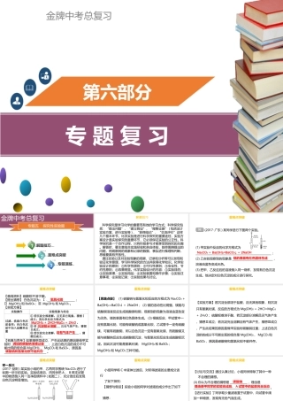 （金牌中考）广东省中考化学总复习 第六部分 专题复习 专题五 探究性实验题课件-人教版初中九年级全册化学课件