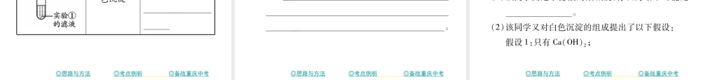 （重庆专版）中考化学总复习 第二篇 重点题型突破 第23讲 实验探究—物质变质问题课件-人教版初中九年级全册化学课件