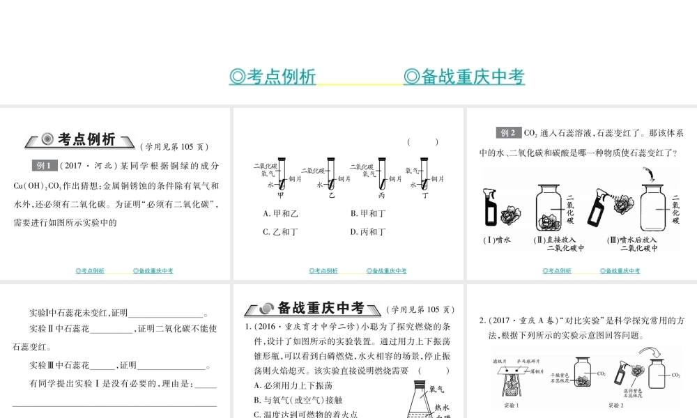 （重庆专版）中考化学总复习 第二篇 重点题型突破 第24讲 实验探究—变量控制问题课件-人教版初中九年级全册化学课件