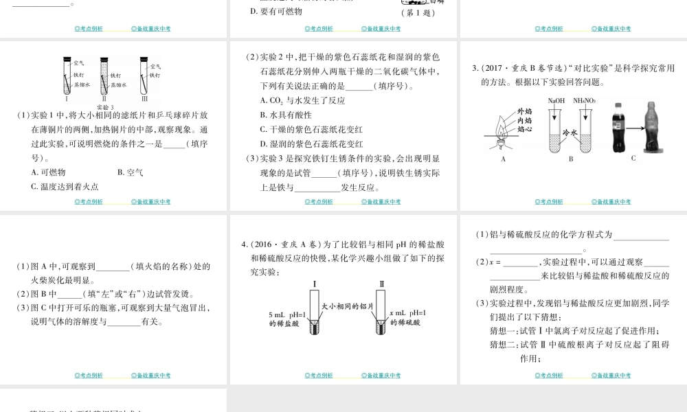 （重庆专版）中考化学总复习 第二篇 重点题型突破 第24讲 实验探究—变量控制问题课件-人教版初中九年级全册化学课件