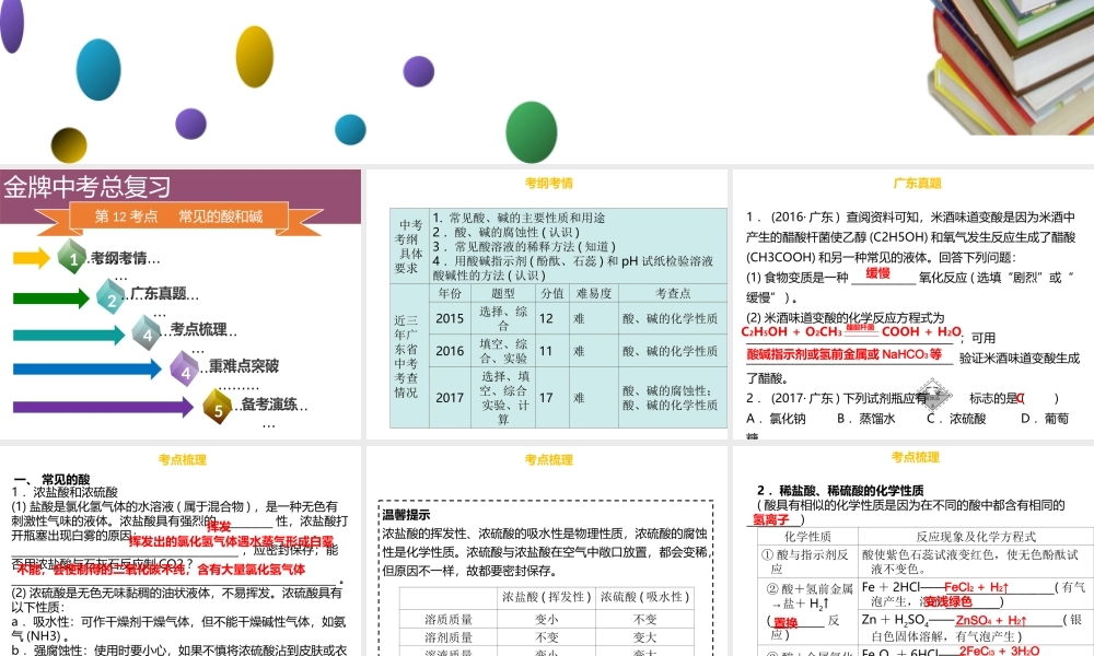 （金牌中考）广东省中考化学总复习 第三部分 身边的化学物质 第12考点 常见的酸和碱课件-人教版初中九年级全册化学课件