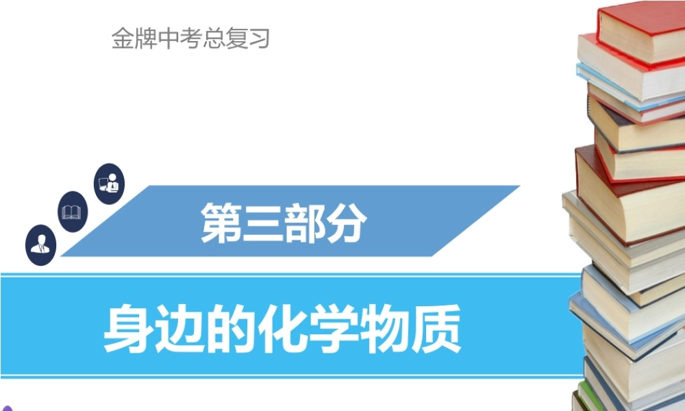 （金牌中考）广东省中考化学总复习 第三部分 身边的化学物质 第14考点 常见的盐和化肥课件-人教版初中九年级全册化学课件