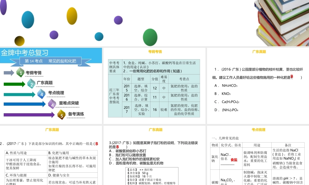 （金牌中考）广东省中考化学总复习 第三部分 身边的化学物质 第14考点 常见的盐和化肥课件-人教版初中九年级全册化学课件