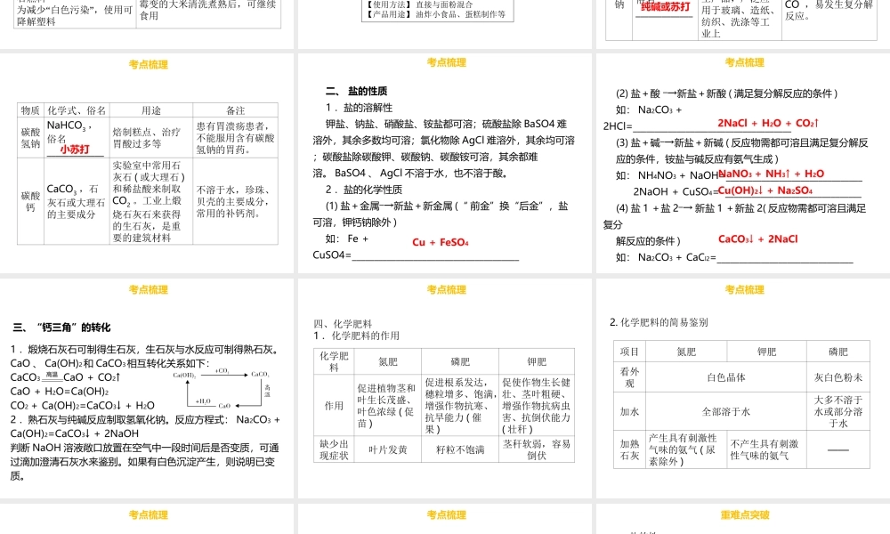 （金牌中考）广东省中考化学总复习 第三部分 身边的化学物质 第14考点 常见的盐和化肥课件-人教版初中九年级全册化学课件