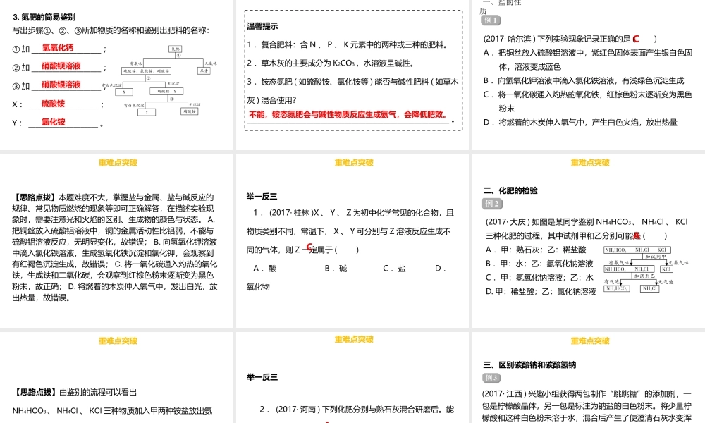 （金牌中考）广东省中考化学总复习 第三部分 身边的化学物质 第14考点 常见的盐和化肥课件-人教版初中九年级全册化学课件