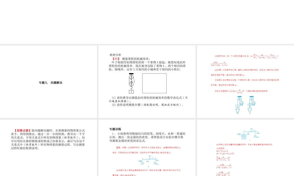 （青岛专版）中考物理 第二部分 专题复习 高分保障 专题九 问题解决课件-人教版初中九年级全册物理课件