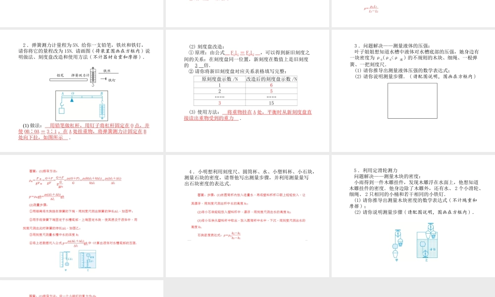 （青岛专版）中考物理 第二部分 专题复习 高分保障 专题九 问题解决课件-人教版初中九年级全册物理课件
