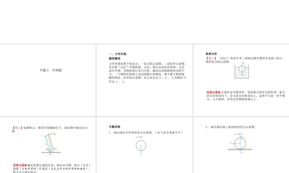 （青岛专版）中考物理 第二部分 专题复习 高分保障 专题五 作图题课件-人教版初中九年级全册物理课件
