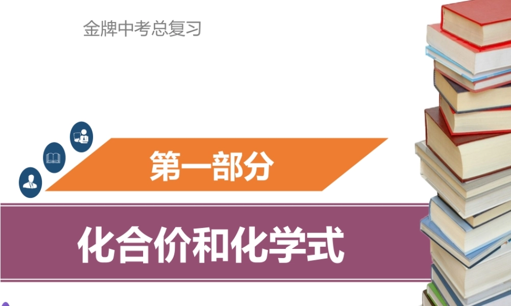 （金牌中考）广东省中考化学总复习 第一部分 物质构成的奥秘 第3考点 化合价和化学式课件-人教版初中九年级全册化学课件