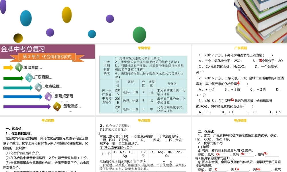 （金牌中考）广东省中考化学总复习 第一部分 物质构成的奥秘 第3考点 化合价和化学式课件-人教版初中九年级全册化学课件