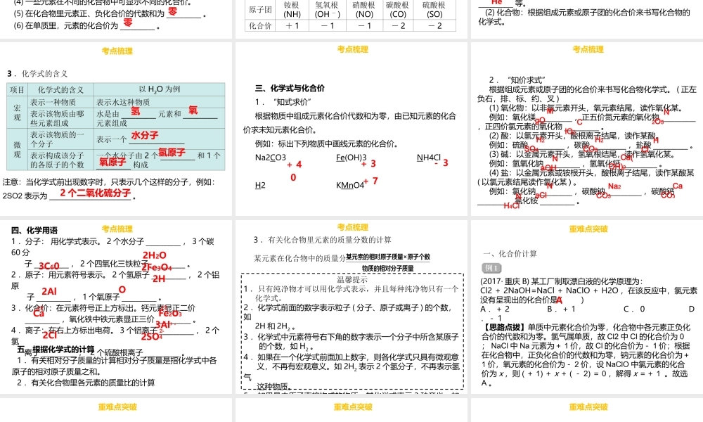 （金牌中考）广东省中考化学总复习 第一部分 物质构成的奥秘 第3考点 化合价和化学式课件-人教版初中九年级全册化学课件