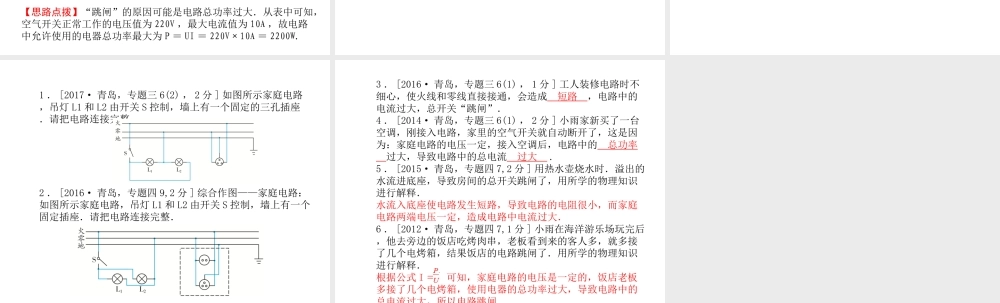 （青岛专版）中考物理 第一部分 系统复习 成绩基石 第十八讲 生活用电课件-人教版初中九年级全册物理课件