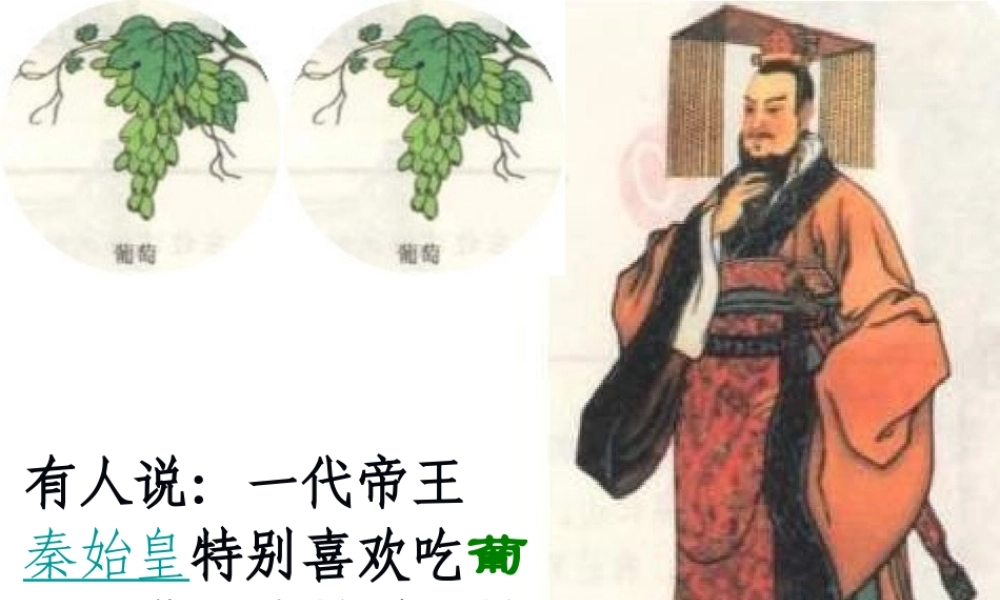 （陕西专版）春中考历史复习 丝绸之路课件-人教版初中九年级全册历史课件