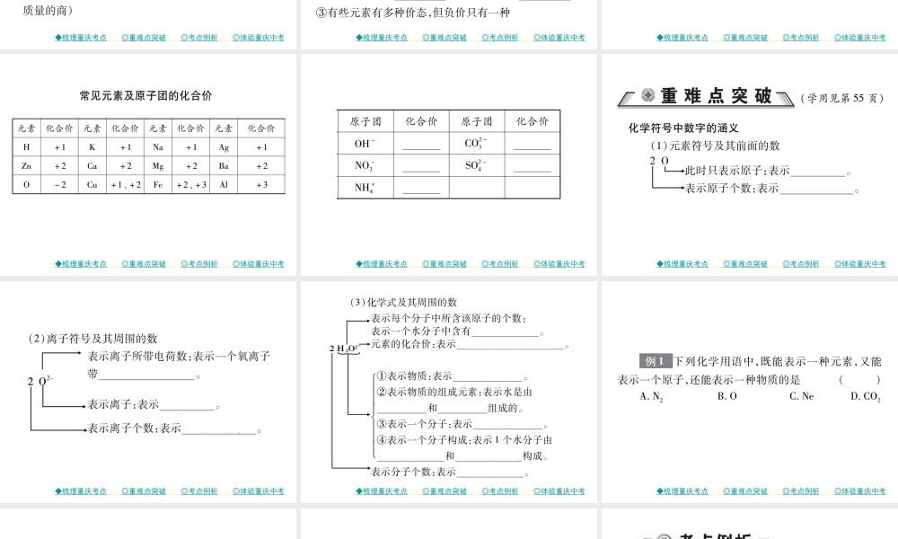 （重庆专版）中考化学总复习 第一篇 教材知识梳理 模块二 化学基本概念和原理 第12讲 化学用语课件-人教版初中九年级全册化学课件