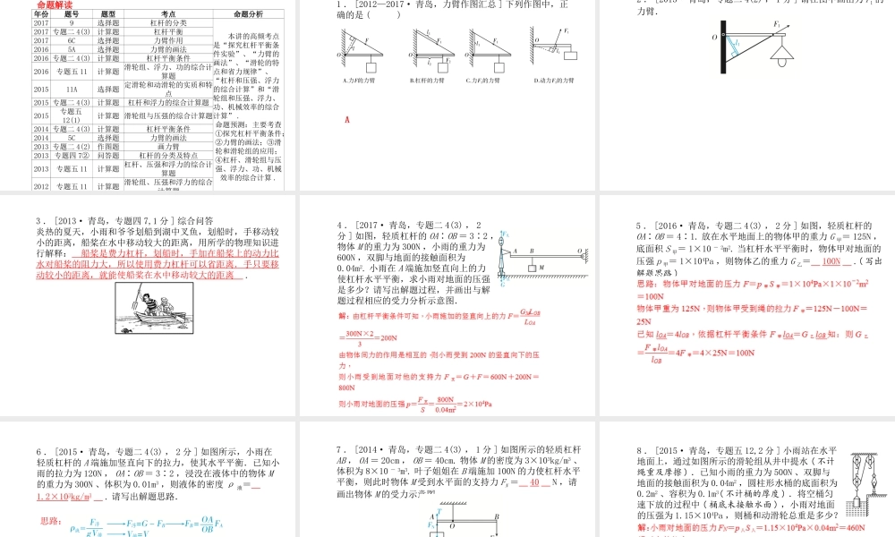 （青岛专版）中考物理 第一部分 系统复习 成绩基石 第十一讲 简单机械课件-人教版初中九年级全册物理课件