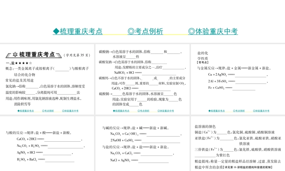 （重庆专版）中考化学总复习 第一篇 教材知识梳理 模块一 常见的物质 第7讲 盐和化肥课件-人教版初中九年级全册化学课件