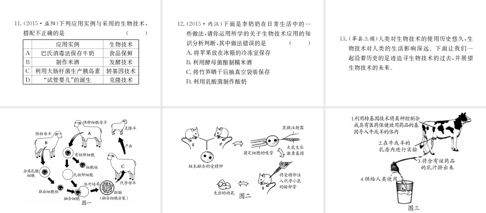 （重庆专版）中考生物 第二部分 知识综合突破 专题八 生物技术复习配套课件-人教级全册生物课件