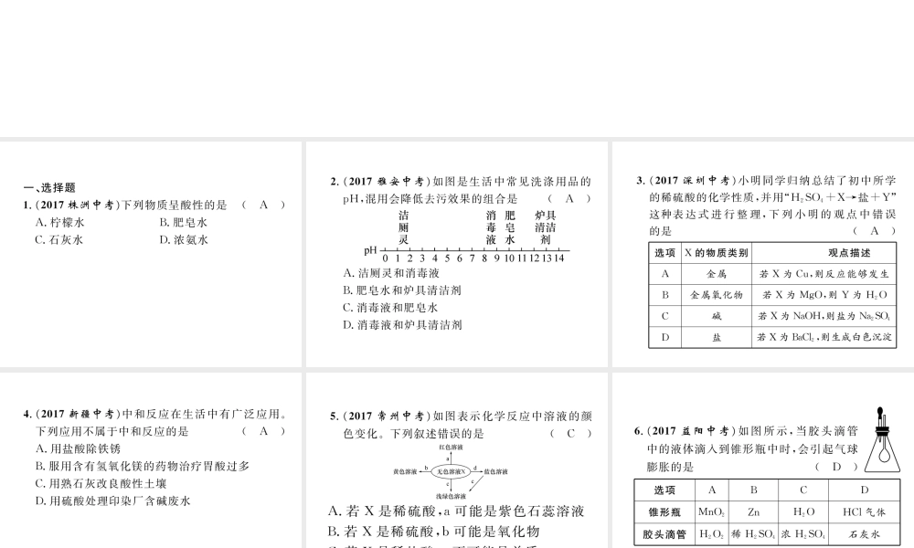 （青海专版）中考化学复习 第1编 教材知识梳理篇 第10单元 酸和碱（精练）课件-人教版初中九年级全册化学课件
