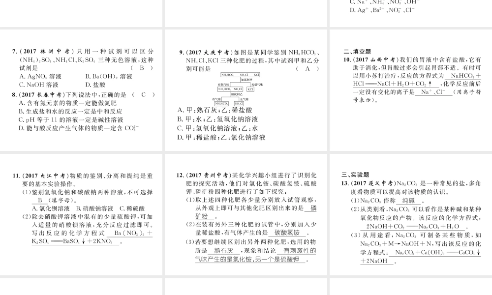 （青海专版）中考化学复习 第1编 教材知识梳理篇 第11单元 盐 化肥（精练）课件-人教版初中九年级全册化学课件