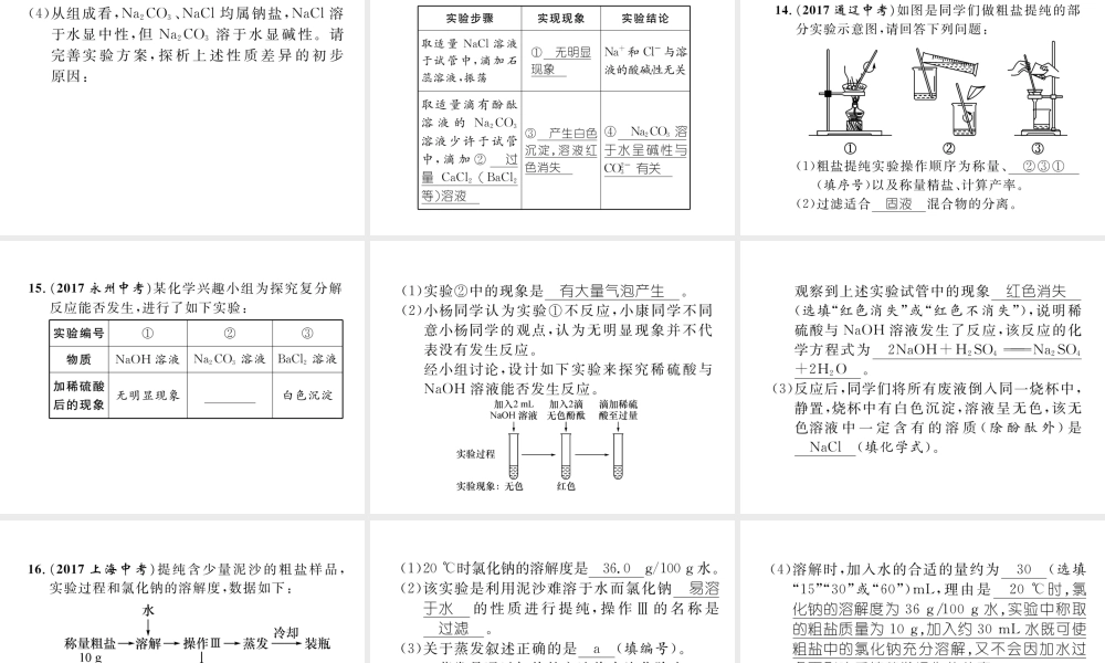 （青海专版）中考化学复习 第1编 教材知识梳理篇 第11单元 盐 化肥（精练）课件-人教版初中九年级全册化学课件